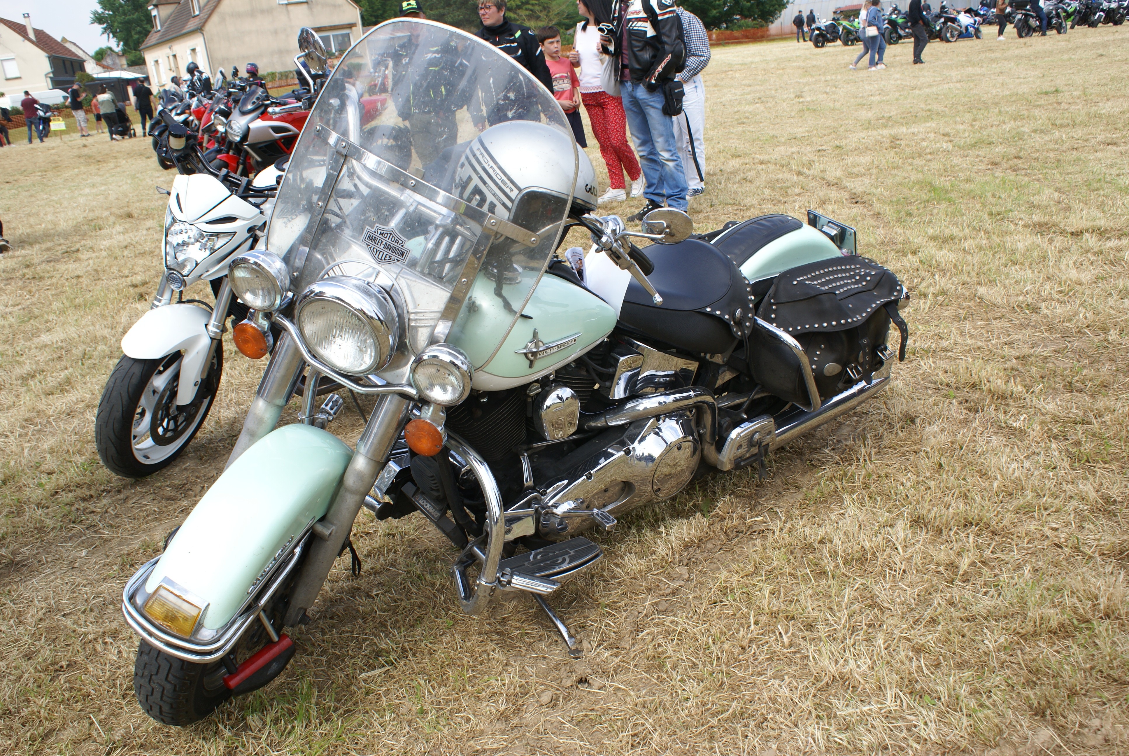 Dsc06197