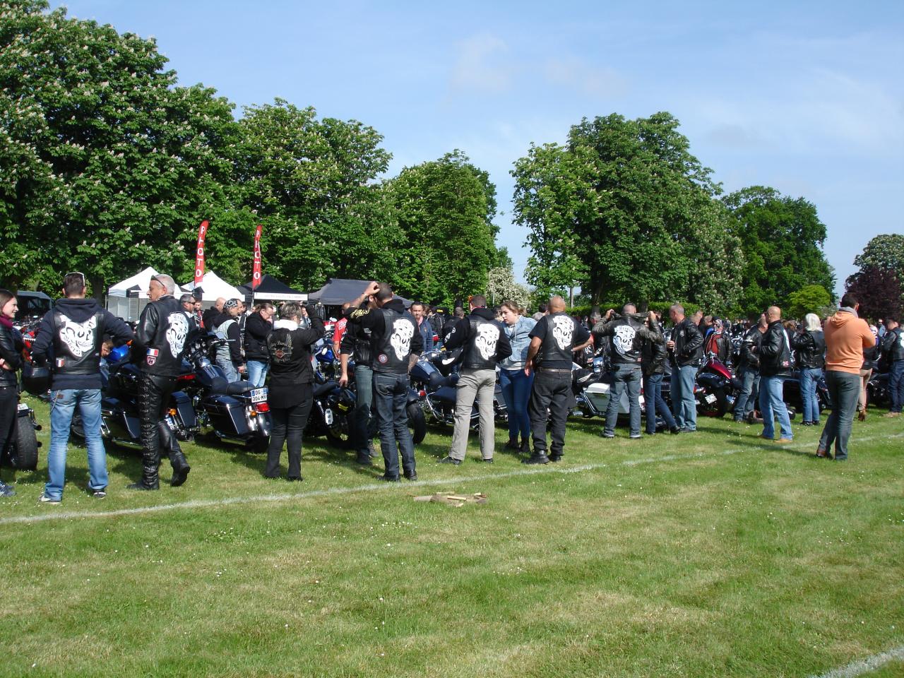 Motos (19)