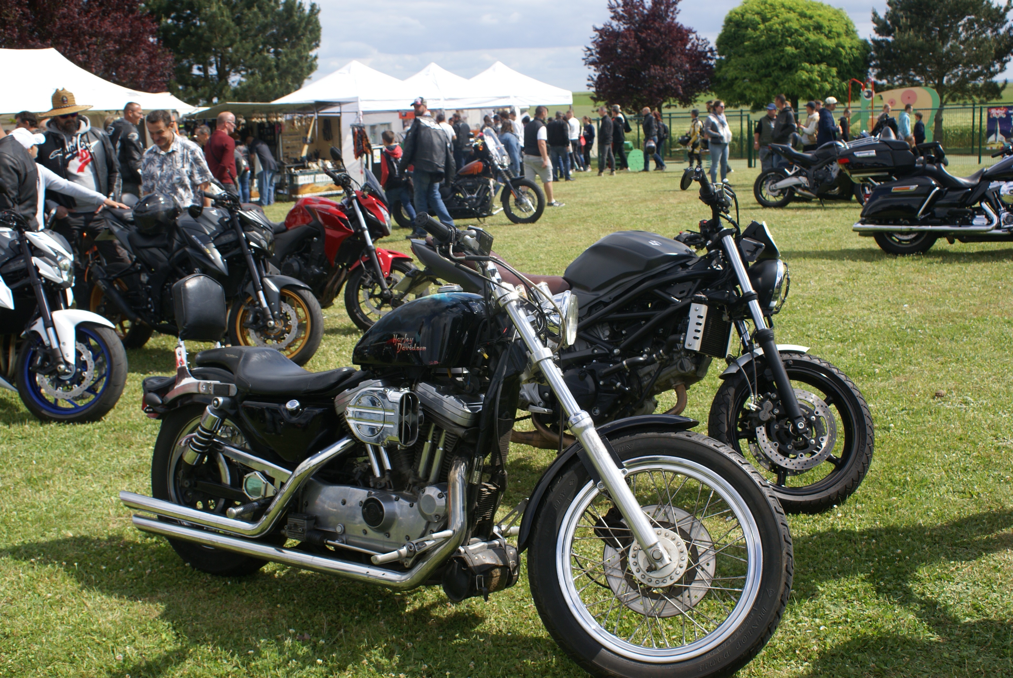 Motos 65 1