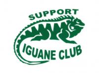 sticker iguane.jpg