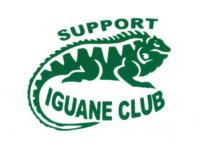 sticker iguane.jpg